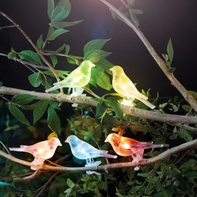   Garden of Eden 11787 Szolár fényfüzér - madárka, csipeszes - 80 cm - 5 színes, RGB LED