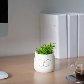   Vog&Arths 11849 Műnövény dekoráció - macskafej - 9 x 14 cm - 3 féle