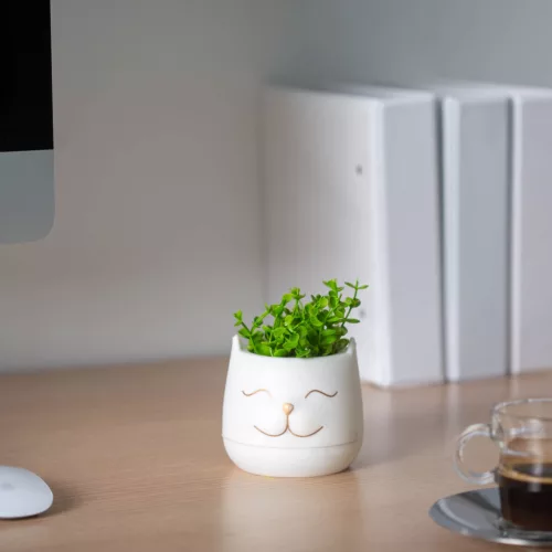 Vog&Arths 11849 Műnövény dekoráció - macskafej - 9 x 14 cm - 3 féle