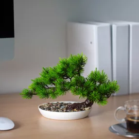   Vog&Arths 11871 Műnövény dekoráció - Japán feketefenyő - 25 x 18 cm