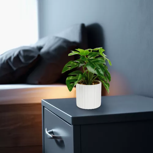 11892A Műnövény dekoráció - filodendron - zöld - 20 x 8 cm