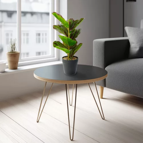 11896B Műnövény dekoráció - zebralevél - zöld/fekete - 34 x 9 cm