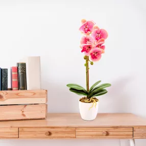   11901A Műnövény dekoráció - orchidea - rózsaszín - 48 cm