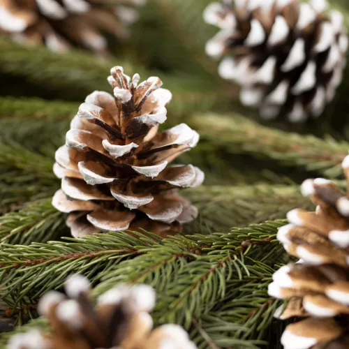 Family 58544 Karácsonyi dekoráció - toboz - 5 x 4,5 cm - 10 db / csomag