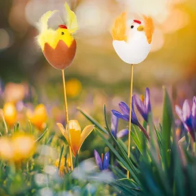   CMK-7732 Húsvéti dekoráció - csibe, tyúk - leszúrható - 28 cm