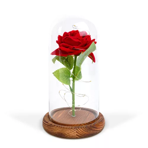 DA00154 Örökrózsa LED-del - 11.5 x 22 cm