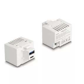   Delock Keystone Modul A-típusú USB-vel és USB Type-C  töltő porttal PD 20 W fehér (DL-41478)