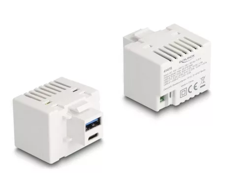 Delock Keystone Modul A-típusú USB-vel és USB Type-C  töltő porttal PD 20 W fehér (DL-41478)