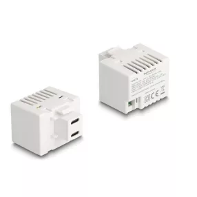   Delock Keystone Modul 2 x USB Type-C  töltő porttal PD 20 W fehér (DL-41479)