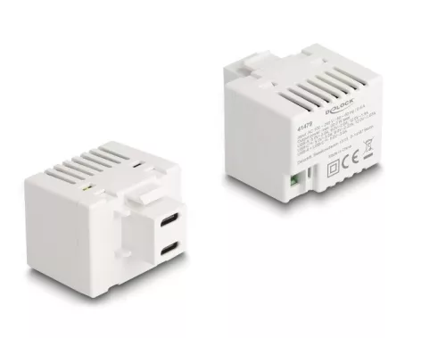 Delock Keystone Modul 2 x USB Type-C  töltő porttal PD 20 W fehér (DL-41479)