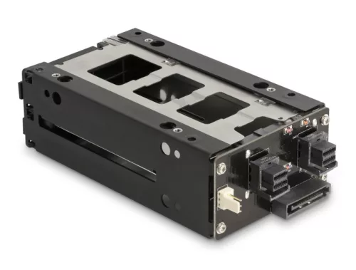 Delock Slim Mobil Rack 2 x 2.5  U.2 NVMe SSD (DL-47019)
