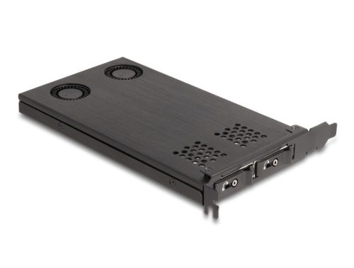 Delock PCI expressz x16 kártya mobil-rack 2 x M.2 NVMe SSD-hez - elágazás