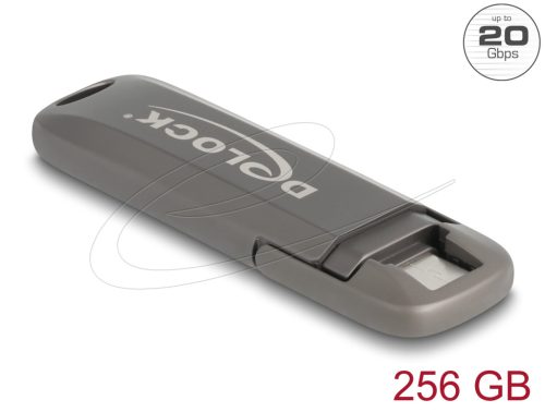Delock USB 20 Gbps USB-C  Pendrive 256 GB, olvasási sebesség: 1980 MB/s - fém ház