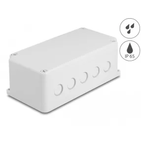   Delock Installációs ház kábel bemenetekkel 200 x 100 x 70 mm nagyságú szürke (DL-60491)