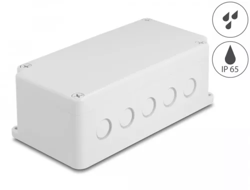 Delock Installációs ház kábel bemenetekkel 200 x 100 x 70 mm nagyságú szürke (DL-60491)