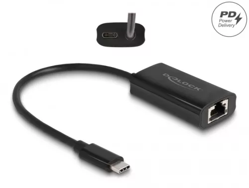 Delock Szürke USB Type-C  adapter tápellátó portos Gigabit LAN-hez 100 watt (DL-61026)