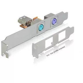 Delock Hátsó konzol USB > 2 x PS/2 (DL-61589)