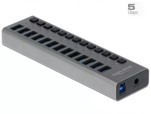 Delock Külső SuperSpeed USB hub 13 bemenettel és kapcsolóval (DL-63738)