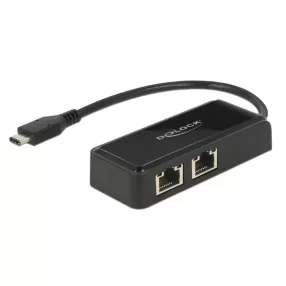   Delock Adapter SuperSpeed USB (USB 3.1 Gen 1) USB Type-C  csatlakozódugóval > 2 x Gigabit LAN 10/100 (DL-63927)