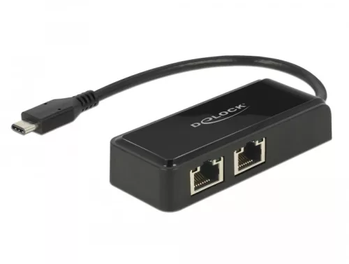 Delock Adapter SuperSpeed USB (USB 3.1 Gen 1) USB Type-C  csatlakozódugóval > 2 x Gigabit LAN 10/100 (DL-63927)