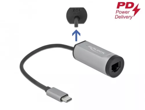 Delock Szürke USB Type-C  adapter tápellátó portos Gigabit LAN-hez (DL-64116)