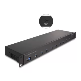 Delock 19  ipari hub 10 x USB 10 Gbps A-típusú (DL-64240)
