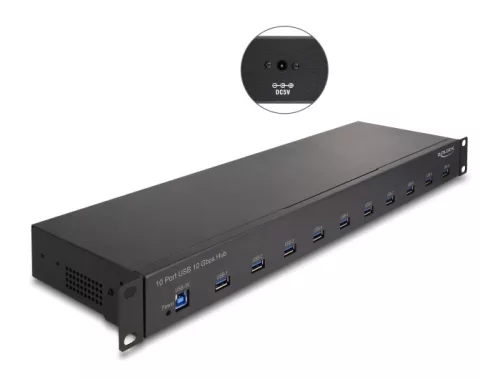 Delock 19  ipari hub 10 x USB 10 Gbps A-típusú (DL-64240)
