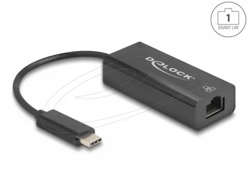 Delock USB 2.0 Type-C  adapter 10/100 Mbps LAN-hoz (DL-64306)