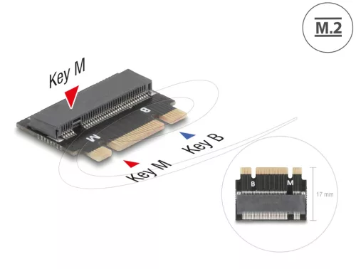 Delock M.2 kulcs B+M apa - M.2 kulcs M csatlakozó   bővítmény adapter (DL-64342)