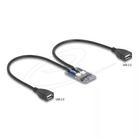   Delock Mini PCIe adapter teljes méret - 2 x USB 2.0 A-típus anya 30 cm (DL-64346)