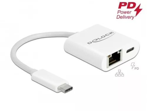 Delock USB Type-C  adapter Power Delivery porttal Gigabit LAN 10/100/1000 Mbps fehér (DL-65402)