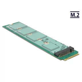 Delock Adapter M.2 Key M apa > M.2 Key A slot (DL-65699)