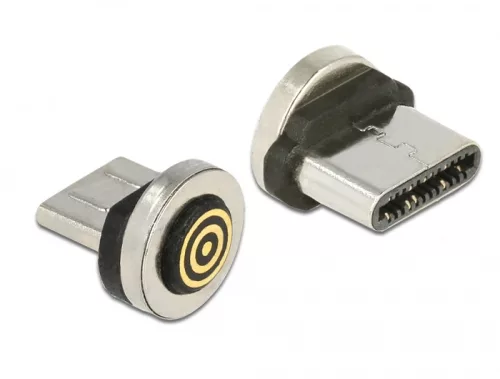 Delock USB Type-C  apa mágneses csatlakozó (DL-65933)