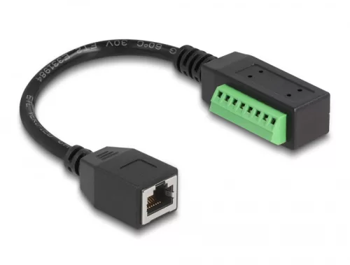 Delock RJ45 Kábel Cat.5e anya - Terminal Block Adapter 21,5 cm (DL-66053)