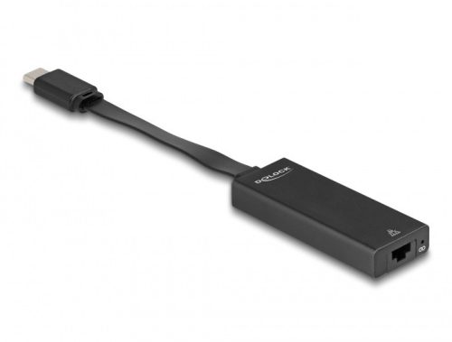 Delock USB Type-C  adapter   Gigabit LAN vékony (DL-66246)
