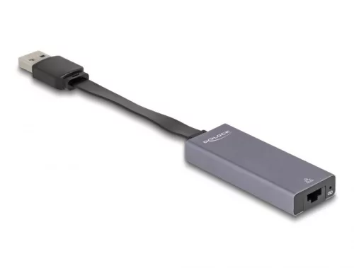 Delock A-típusú USB adapter   2,5 Gigabit LAN vékony (DL-66247)