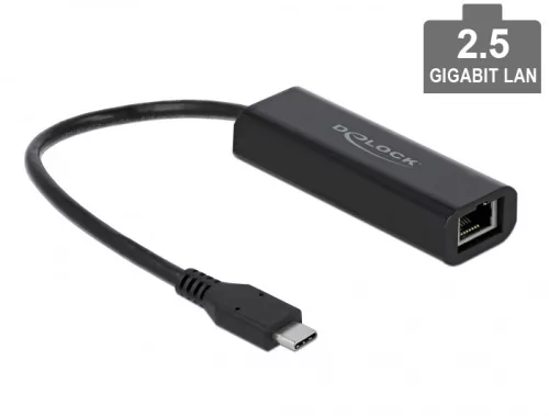 Delock USB Type-C adapter apa   2,5 Gigabit LAN (DL-66298)