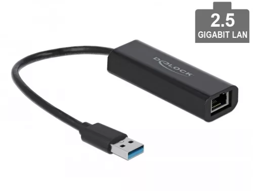Delock USB Type-A adapter apa   2,5 Gigabit LAN (DL-66299)