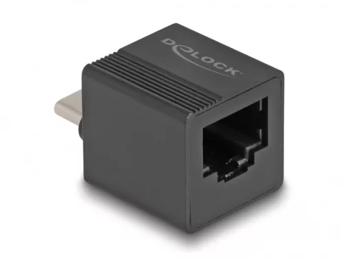 Delock USB Type-C adapter - Gigabit LAN mini (DL-66462)