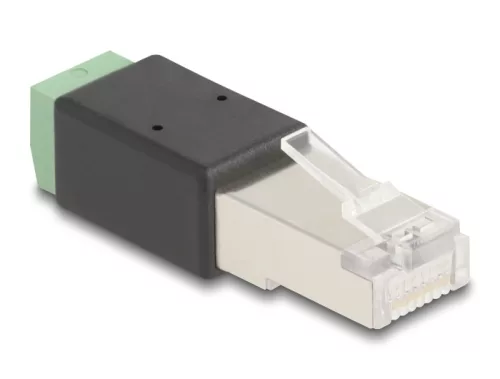 Delock RJ45 apa - Terminal Block Adapter 2 tűs (DL-66604)