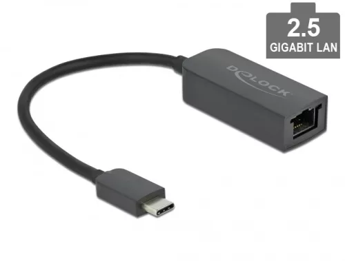 Delock USB Type-C adapter apa   2,5 Gigabit LAN kompakt (DL-66645)