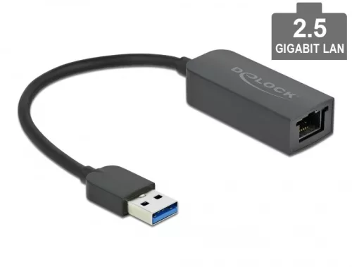 Delock USB A-típusú adapter apa   2,5 Gigabit LAN kompakt (DL-66646)