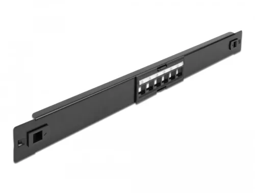 Delock 19  Keystone Patch Panel 6 portos eszközmentes (DL-66820)
