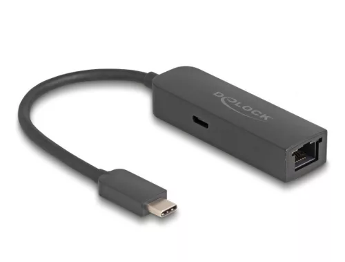 Delock Szürke USB Type-C  adapter tápellátó portos 2,5 Gigabit LAN-hez 100 watt (DL-66938)