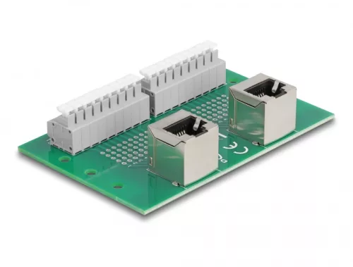 Delock RJ45 2 db. anya - 2 db. Terminal block nyomógombbal hajlított DIM sínhez (DL-66995)