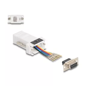   Delock D-Sub 9-tűs anya   RJ12 anya összekötő adapter fehér (DL-67078)