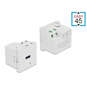   Delock Easy 45 USB töltőcsatlakozó modul 1 x USB type-A (DL-81311)