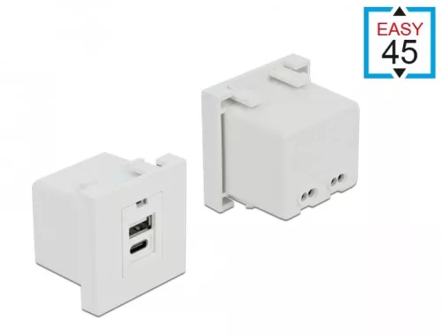 Delock Easy 45 USB töltő port modul 1 x A-típusú és 1 x USB Type-C  csatlakozó felülettel (DL-81313)