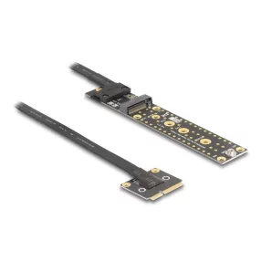   Delock adapter Mini PCIe apa M.2 Key M anya csatlakozóra 20 cm-es kábellel (DL-81501)