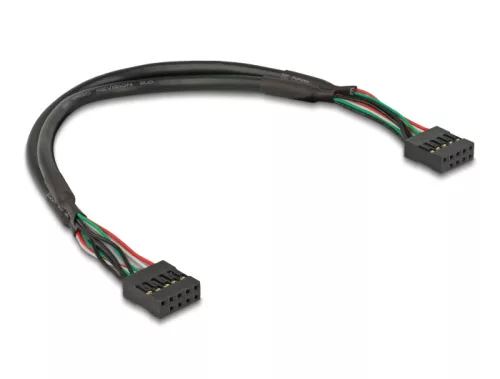 Delock Kábel USB 2.0-s csatlakozóhüvellyel, 2,54 mm, 10 tű - USB 2.0-s csatlakozóhüvellyel, 2,54 mm, 10 tű, 25 cm (DL-82029)